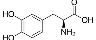 L-Диоксифенилаланин