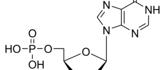 Инозиновая кислота