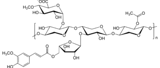 Ксилан